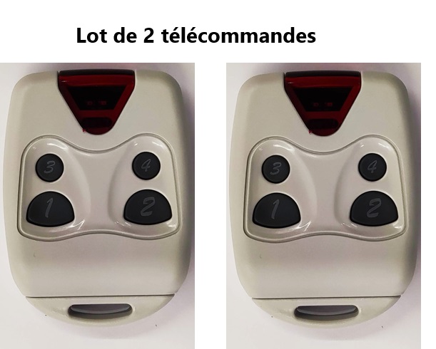 Lot _de_2_telecommandes_GGP-EMY-N4_taille moyenne